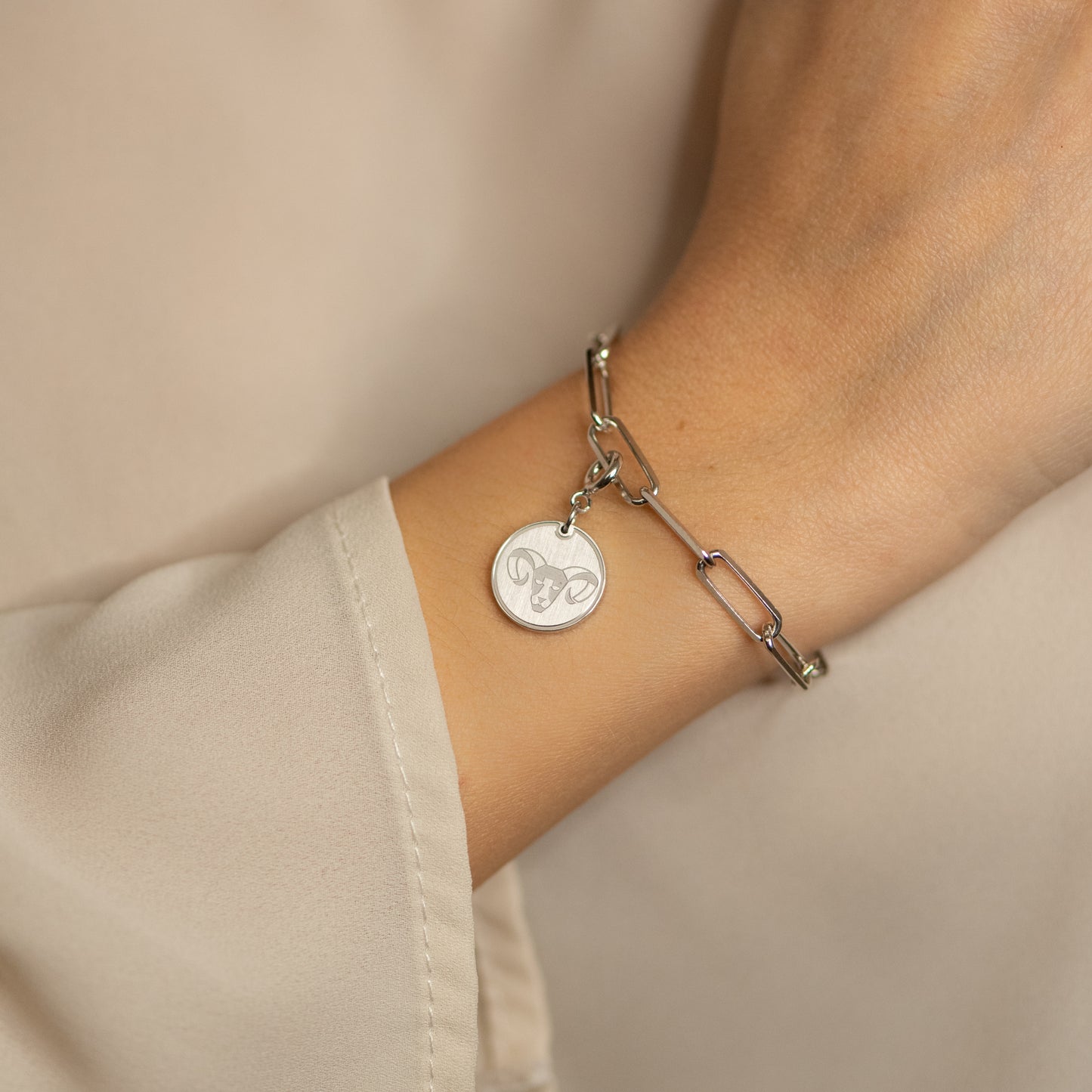 Charm Ariete Argento