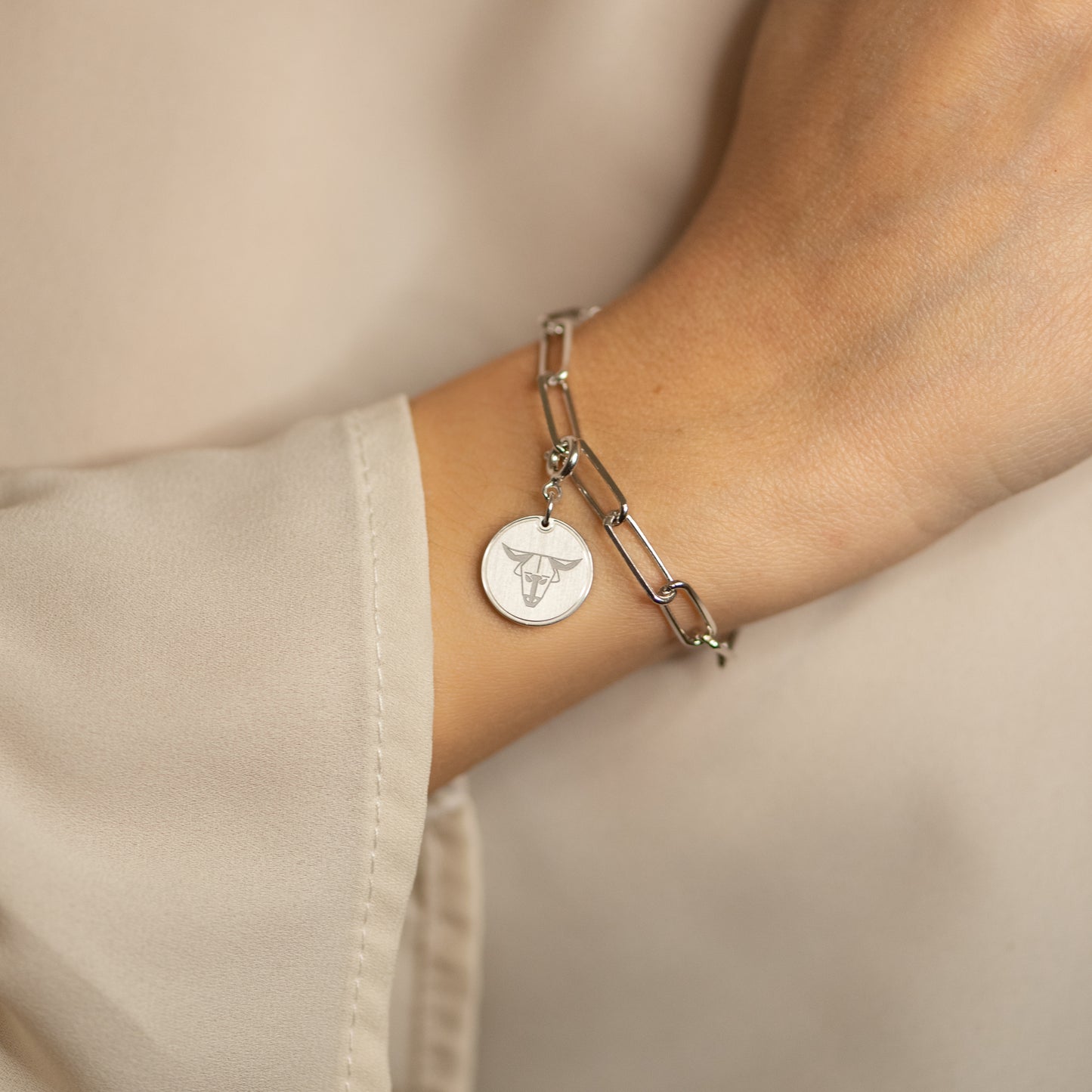 Charm Toro Argento