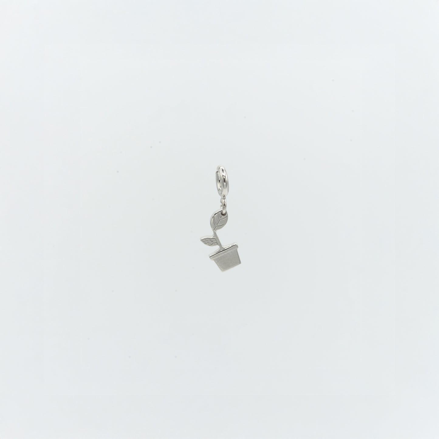 Charm Rinasci Argento