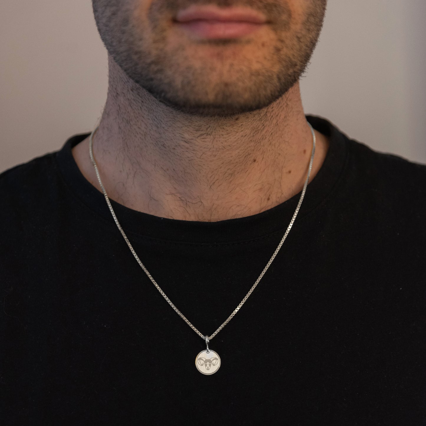 Charm Ariete Argento