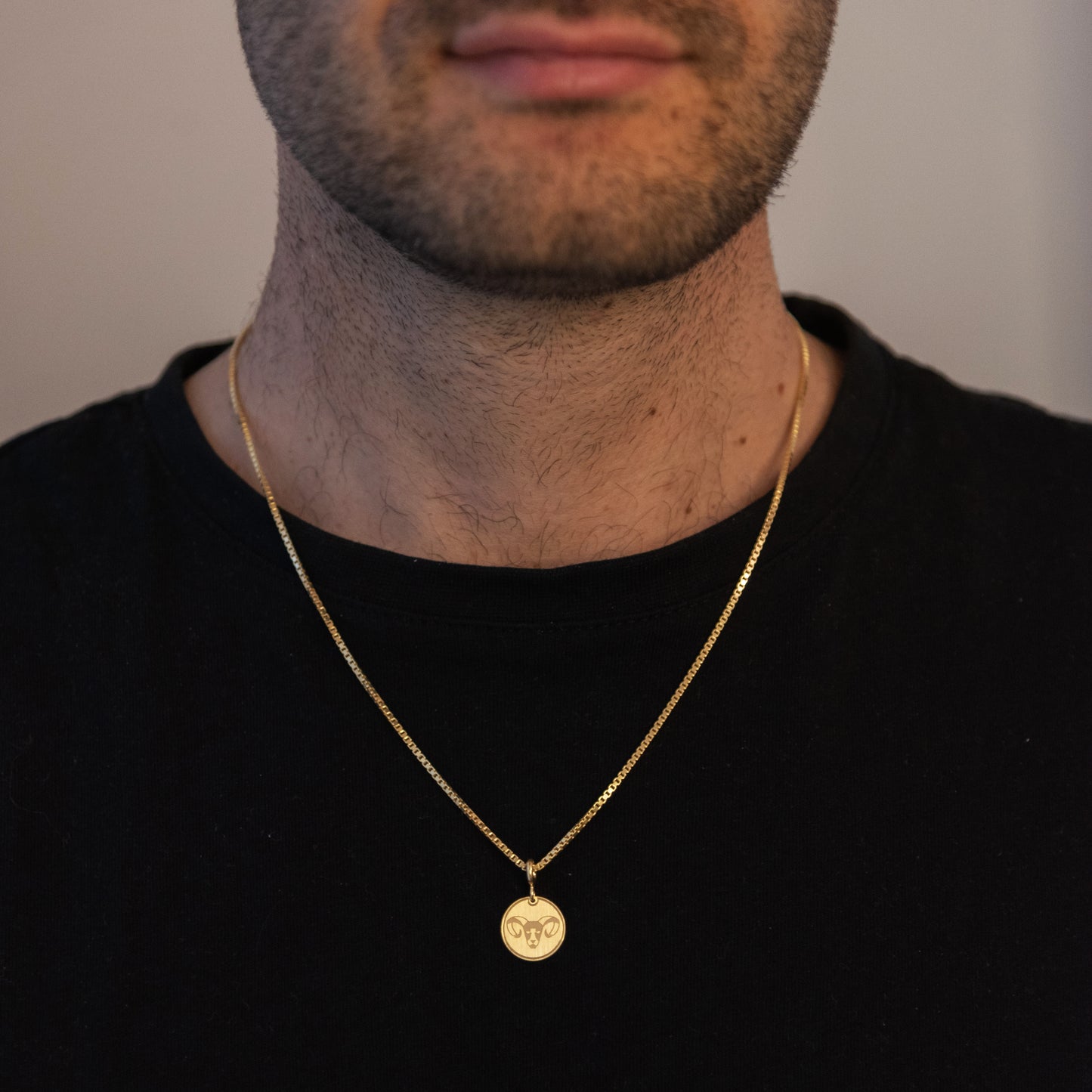 Charm Ariete Placcato Oro