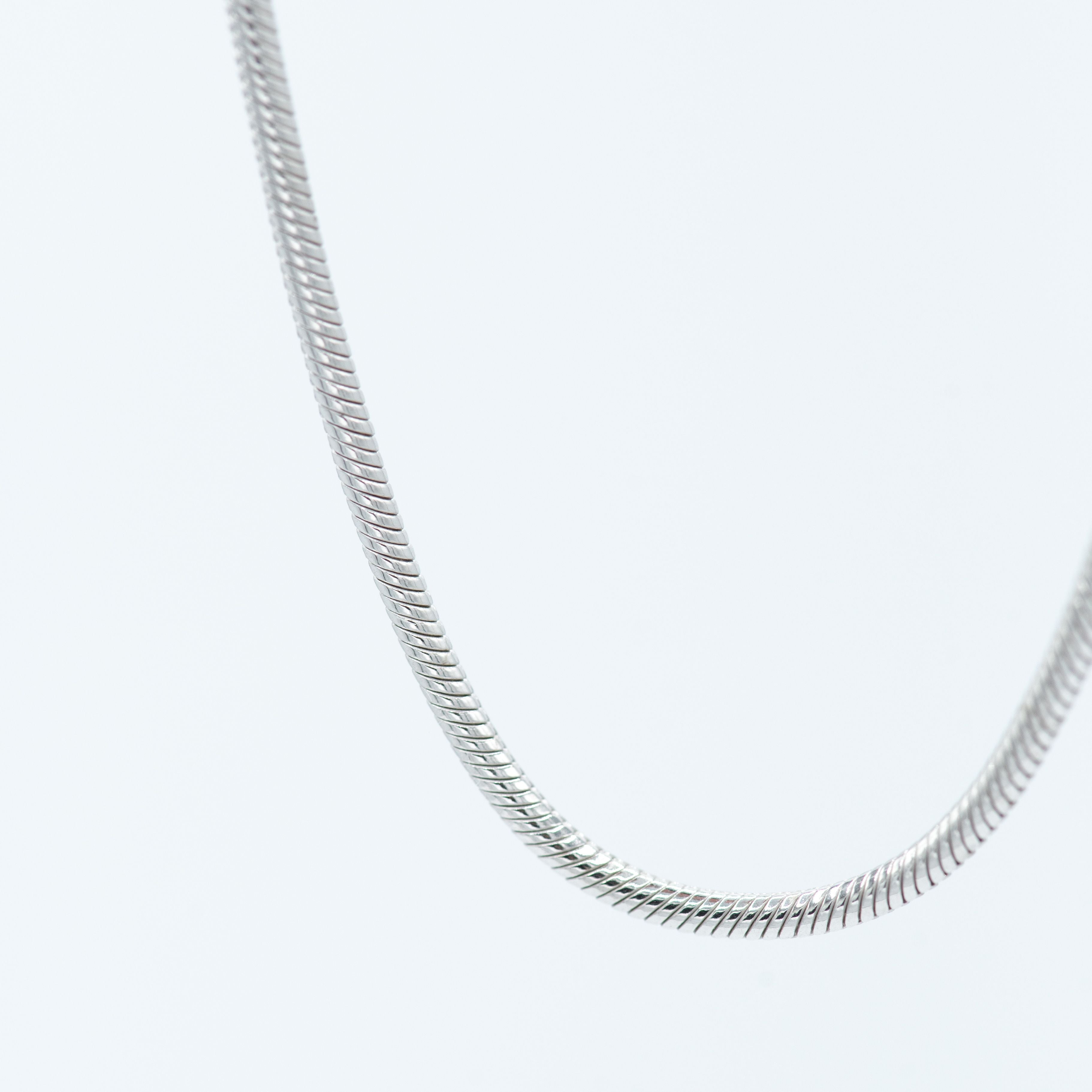 Collana Snake Piatta varie dimensioni – Bilè Collana Snake Piatta varie dimensioni – Bilè