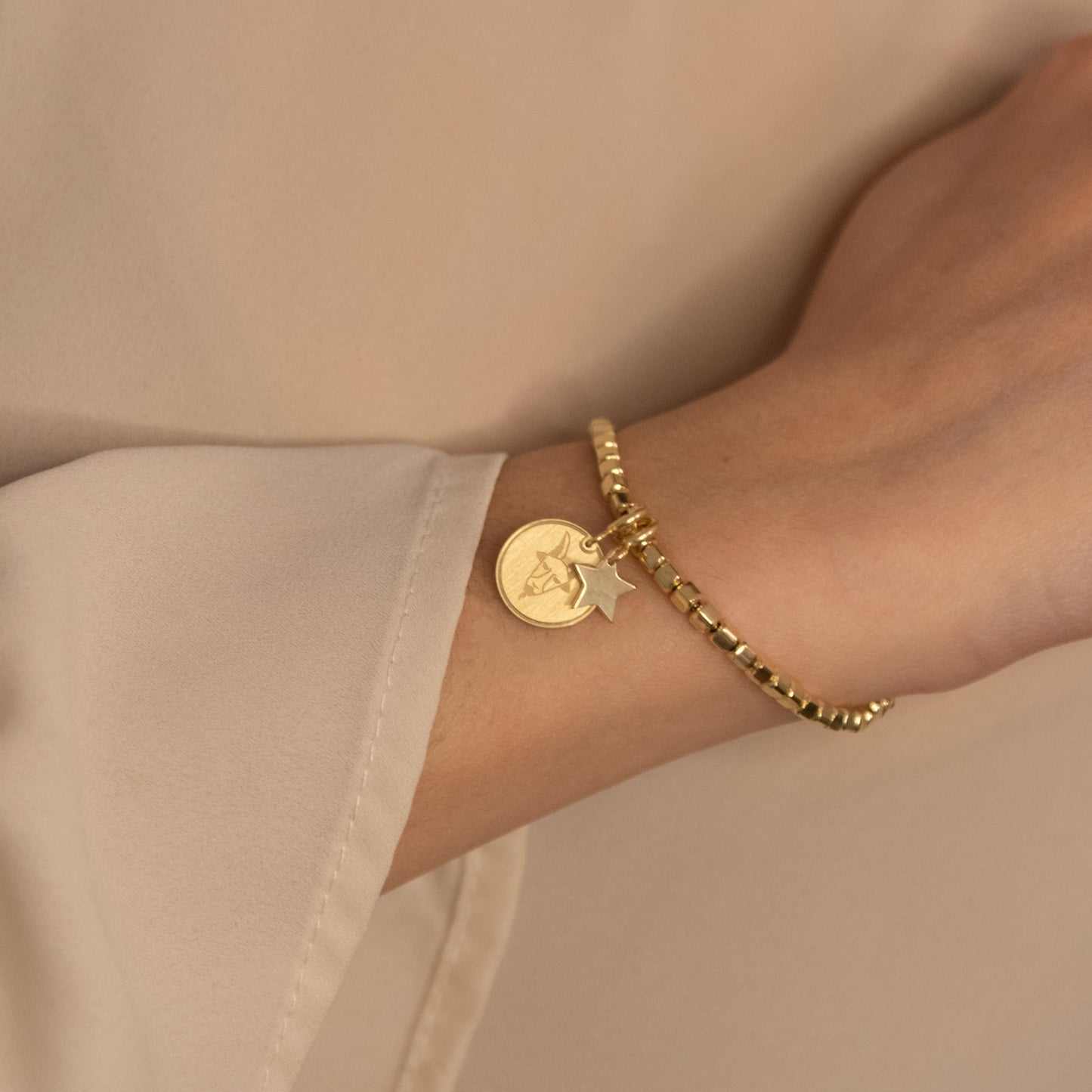 Charm Capricorno Placcato Oro