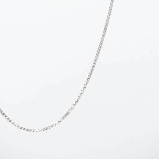 Collana Luce Uomo Argento